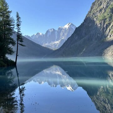 Отзыв Фото