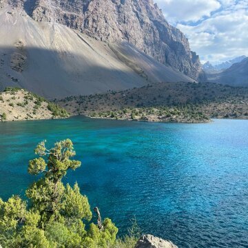 Отзыв Фото