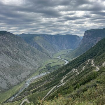 Отзыв Фото
